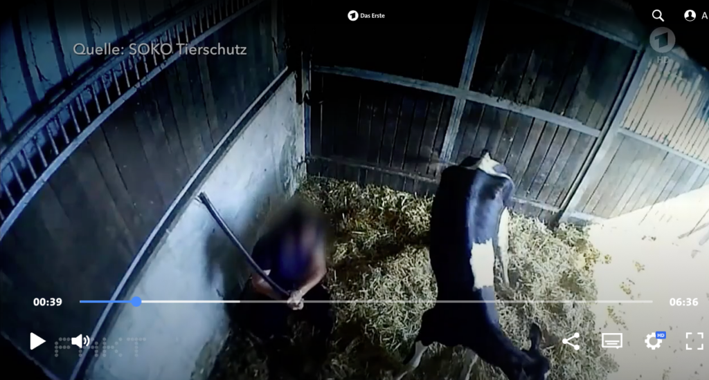 Bildquelle: Soko Tierschutz - Razzia bei Fleischerei-Betrieb Mecke in Werne nach brutalen Tierquälereien
